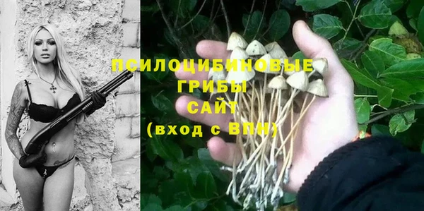 эйфоретик Гусиноозёрск