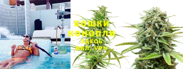эйфоретик Гусиноозёрск