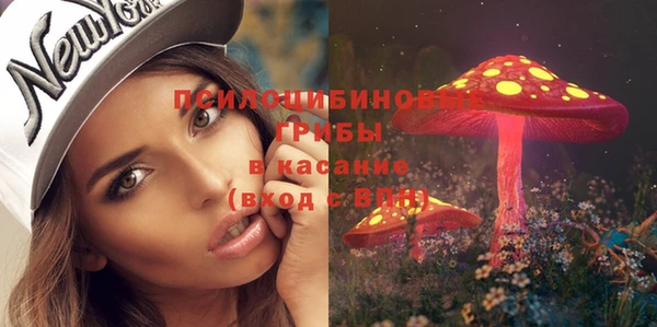 синтетический гашиш Гусь-Хрустальный
