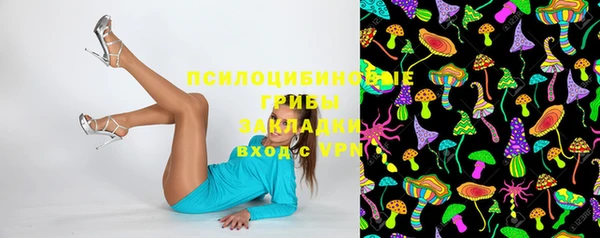 эйфоретик Гусиноозёрск