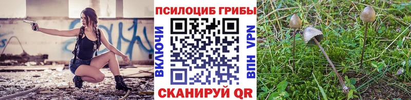 мега tor  Нефтеюганск  Галлюциногенные грибы мицелий 
